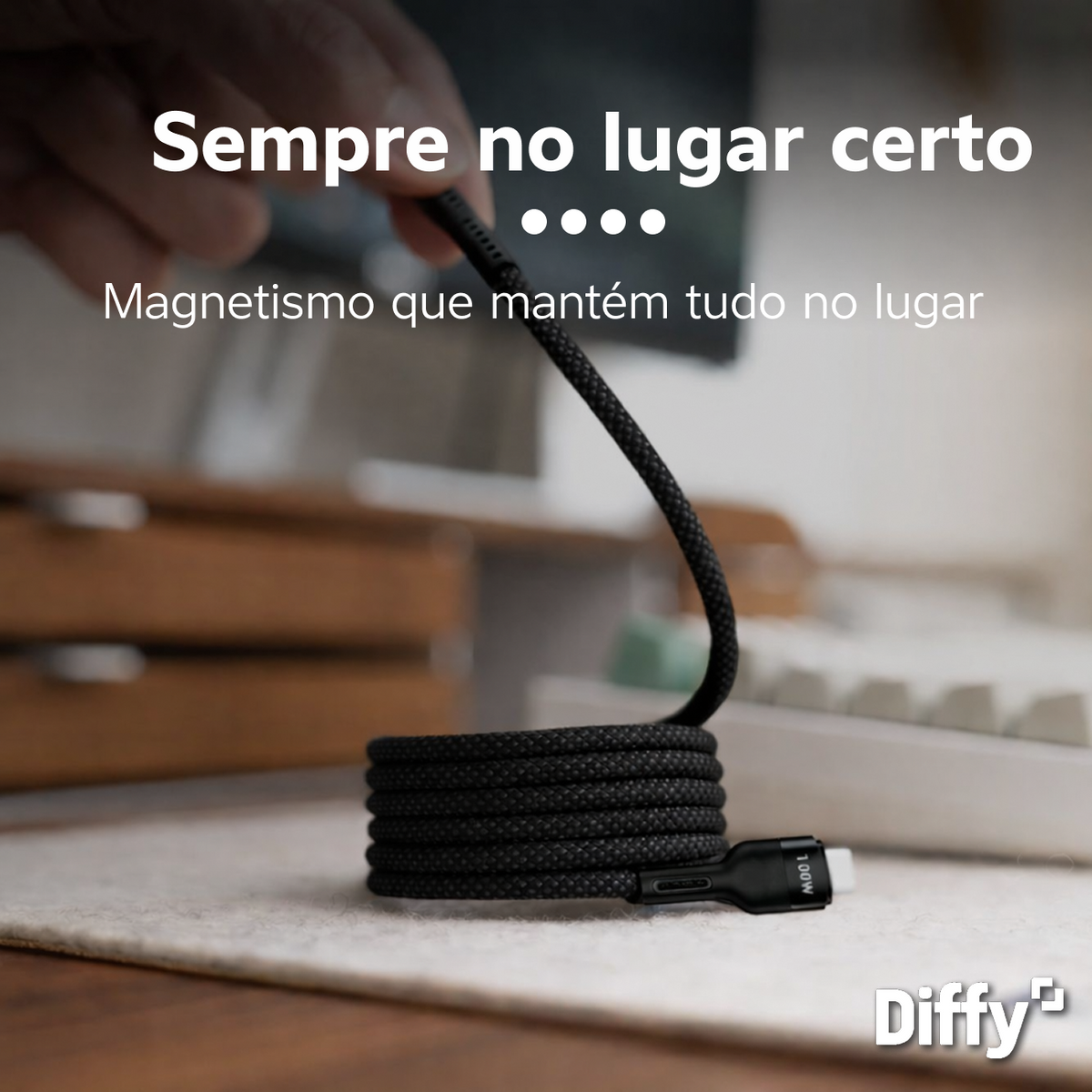 Cabo Loop Usb C